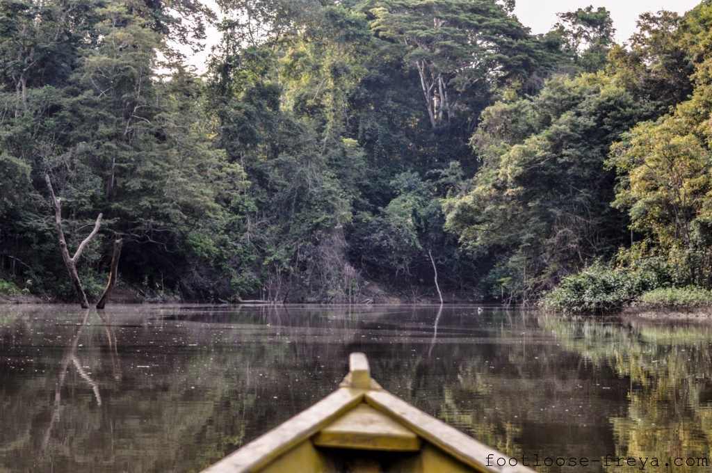 3 DAYS IN THE COLOMBIAN AMAZON - Footloose Freya